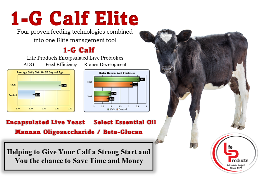 1-G Calf Tech Sheet